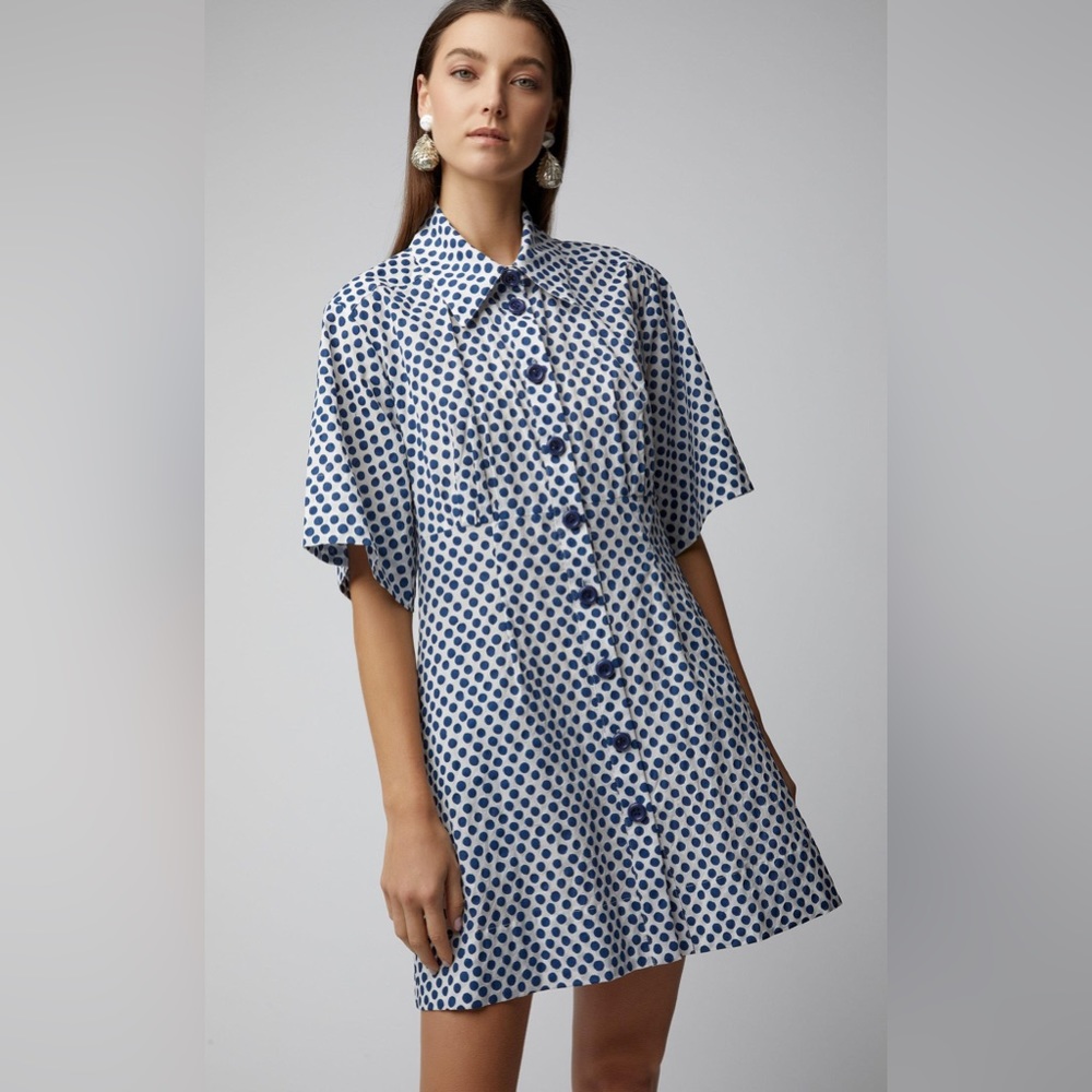 Sea New York Polka Dot Dress